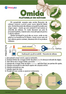 Omida de mătase: jucărie hand-made