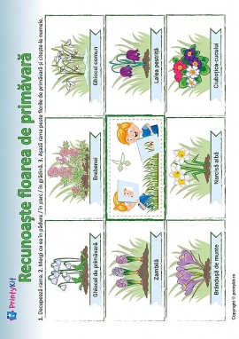 Confecționăm o ramă și identificăm florile de primăvară