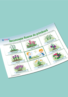 Confecționăm o ramă și identificăm florile de primăvară