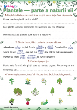 Sintetizăm cunoștințele despre plante