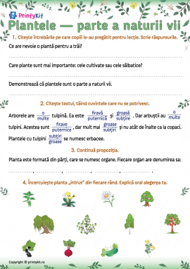 Sintetizăm cunoștințele despre plante