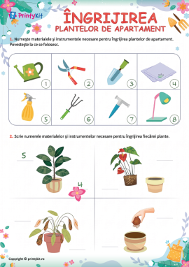 Îngrijirea plantelor de apartament