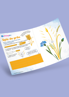 Spicul de grâu: activitate practică de vară cu elemente 3D