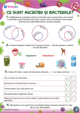 Învățăm să folosim cunoștințele despre microbi și bacterii în viața de zi cu zi