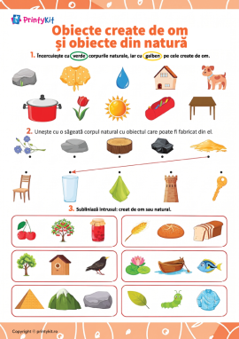 Obiecte create de om și obiecte din natură: explorăm mediul înconjurător