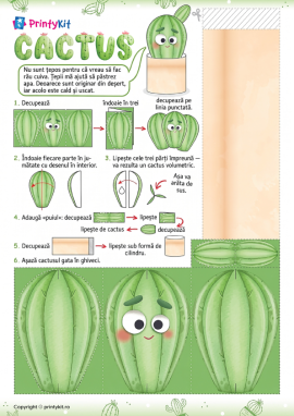 Cactus: activitate practică tridimensională