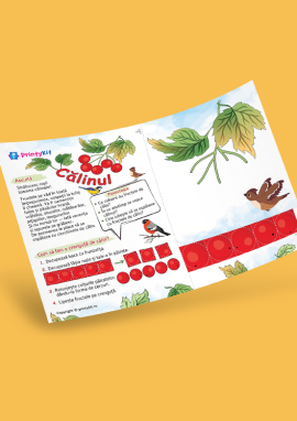 Călin: activitate practică din hârtie