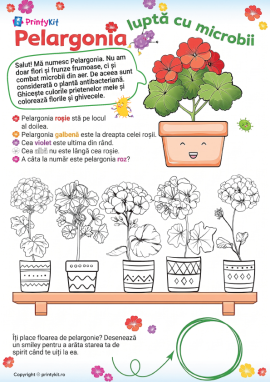 Pelargonia: exerciții de logică pentru copii de 5-6 ani