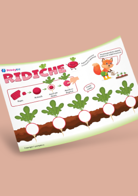 Ridichea: activitate practică cu plastilină pentru cei mici de la 2 ani