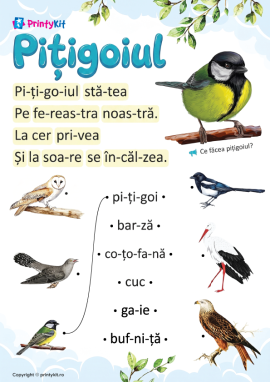 Citirea pe silabe despre păsări pentru preșcolari și clasa pregătitoare