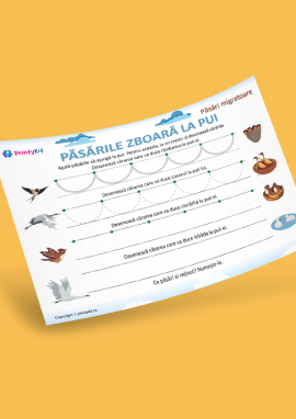 Păsări migratoare: exerciții grafomotorii simple pentru preșcolari