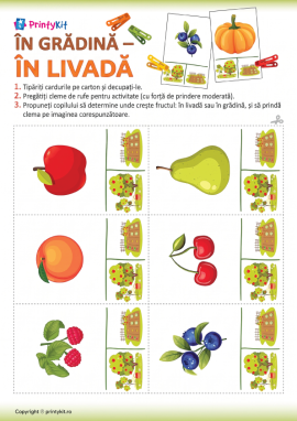 Fructe și legume: joc cu cleme de rufe
