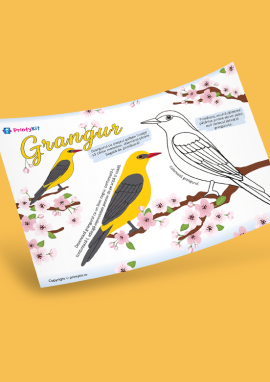 Grangurul: fișă de colorat și completare de primăvară
