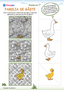 Familia gâștelor: puzzle-uri camuflate pentru cei mici