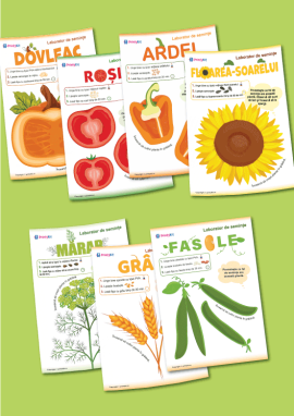 Set de activități practice cu semințe de plante
