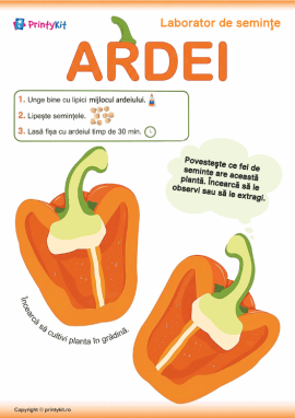 Activitate practică cu semințe de ardei