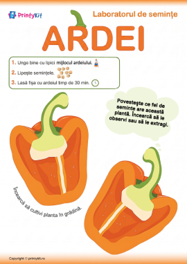 Activitate practică cu semințe de ardei