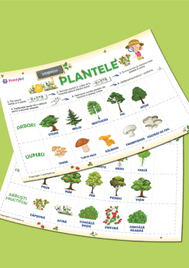 Plante: joc didactic pentru dezvoltarea memoriei