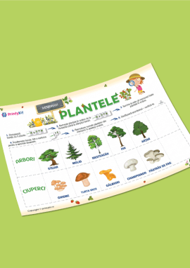 Plante: joc didactic pentru dezvoltarea memoriei