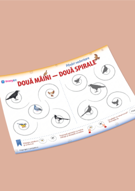 Păsări sedentare: găsim umbrele lor și rezolvăm neurosarcini