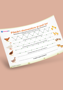 Păsări domestice: fișe grafomotorii simple pentru preșcolari