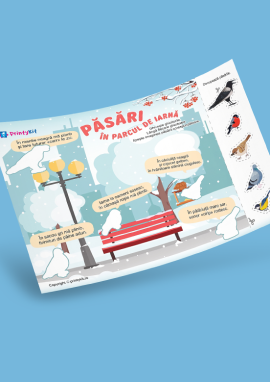 Păsări sedentare din oraș: activitate practică de iarnă pentru preșcolarii din grupa mare