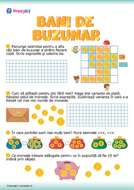 Bani de buzunar: învățăm să calculăm sume