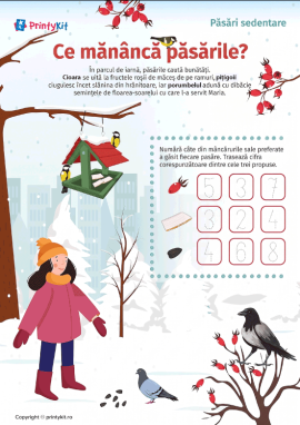 Cu ce se hrănesc păsările sedentare? Învățăm și numărăm până la 10
