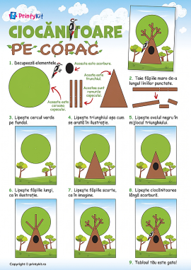 Ciocănitoarea pe copac: activitate practică
