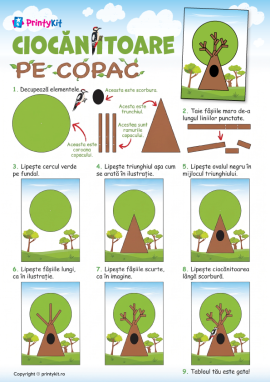 Ciocănitoarea pe copac: activitate practică