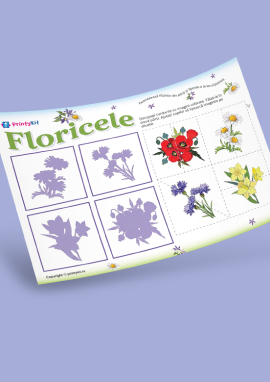 Floricele: loterie cu umbre pentru copiii de vârstă mică