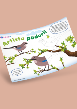 Gaița, pasărea din pădure: exerciții de desenat și colorat