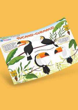 Tucani: desenăm și colorăm