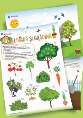 Plante de livadă și grădină : sortare