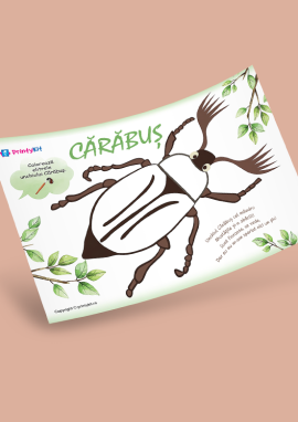 Cărăbușul: planșă de colorat cu acuarele