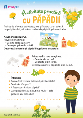 Activitate practică de primăvară-vară cu materiale din natură 