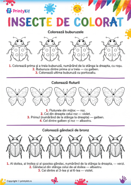 Probleme de logică despre insecte pentru copii cu vârsta de la 5 ani