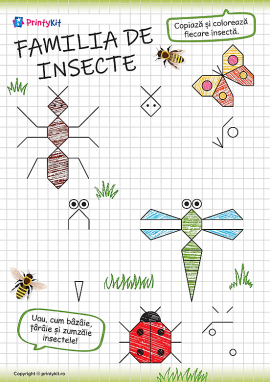 Desenarea insectelor pe caroiaj: abilități grafomotorii, etapa de pre-scriere