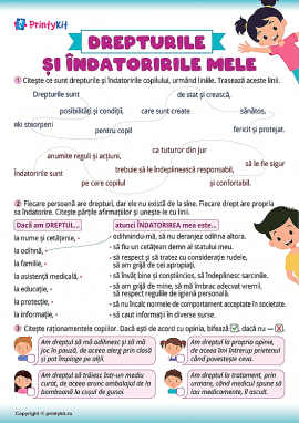 Drepturile și obligațiile copilului