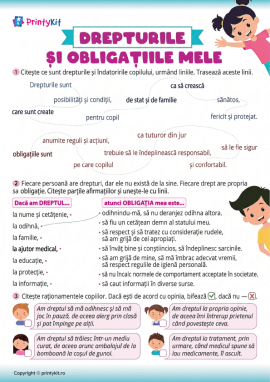 Drepturile și obligațiile copilului