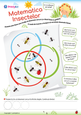 Matematică cu insecte: diagramă Venn, numărare până la 5
