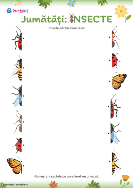 Insecte: activitate didactică pentru potrivirea părților unui obiect