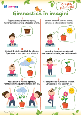 Învățăm etapele de creștere ale plantei printr-o activitate de mișcare