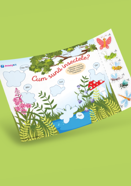 Insecte: onomatopee și căutarea umbrelor