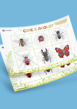 Insecte: învățăm cu ajutorul puzzle-urilor și imaginilor bruiate