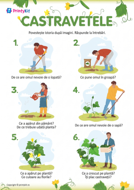 Cultivarea castraveților: poveste după imagini