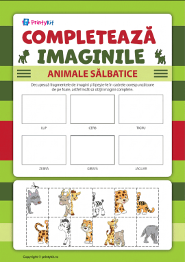 Completează desenele din două jumătăți: activitate practică didactică despre animale sălbatice