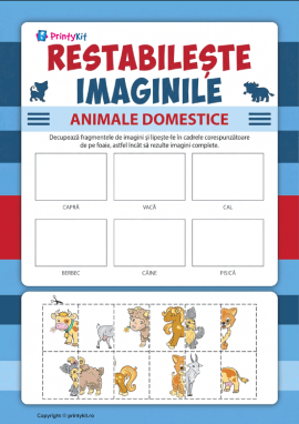 Reconstituie imaginile din două jumătăți: activitate practică despre animalele domestice