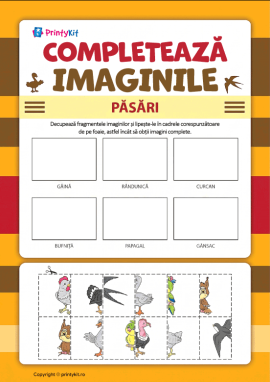 Completează imaginile: activitate practică didactică despre păsări