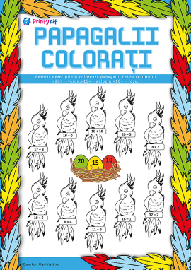 Papagali colorați: calcule în limitele a 20